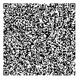 vCard 78313271750