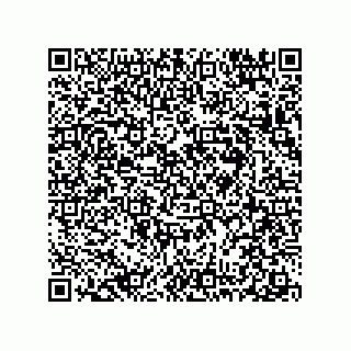 vCard 78313271779