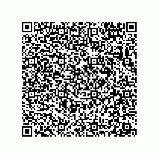 vCard 78313271808