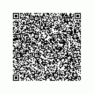 vCard 78313271840