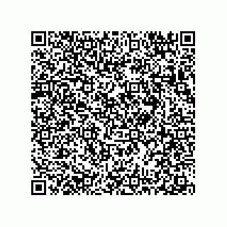 vCard 78313271872