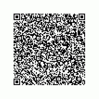 vCard 78313271904