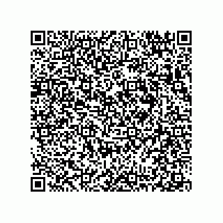 vCard 78313271984