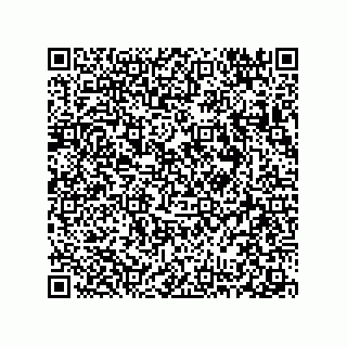 vCard 78313271987