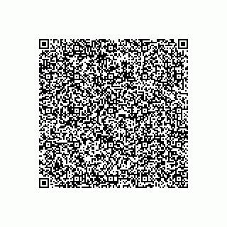 vCard 78313310002