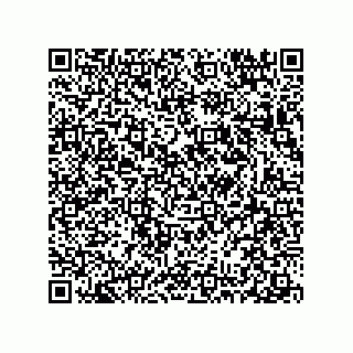 vCard 78313310004