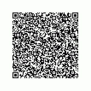 vCard 78313310046