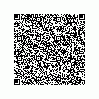 vCard 78313310141