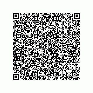 vCard 78313310145