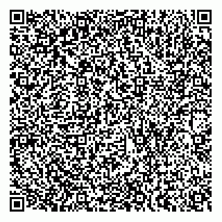 vCard 78313310203