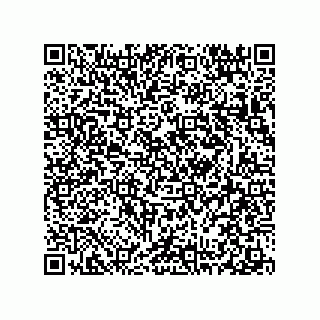 vCard 78313310285