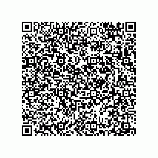 vCard 78313310300