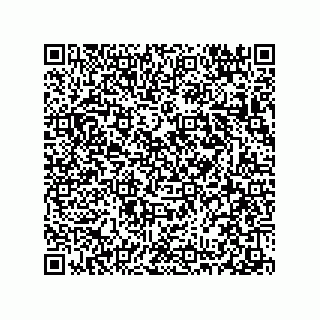 vCard 78313310321