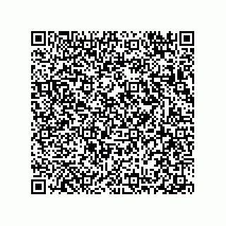 vCard 78313310322