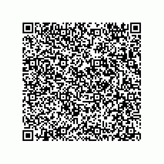vCard 78313310324