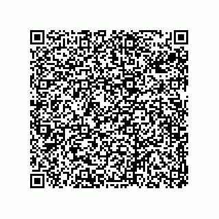vCard 78313310325