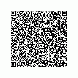 vCard 78313310329