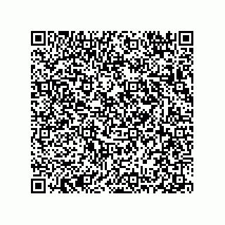 vCard 78313310330
