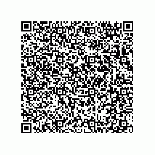 vCard 78313310331
