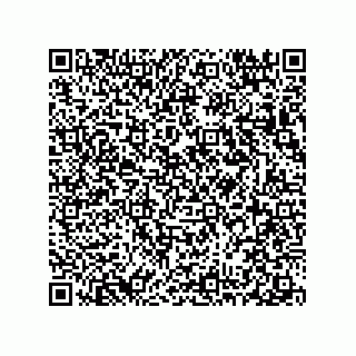 vCard 78313310332