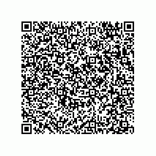 vCard 78313310333