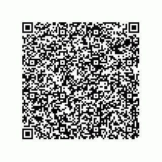 vCard 78313310334