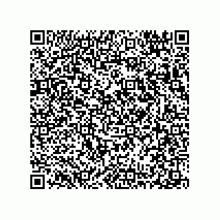 vCard 78313310336