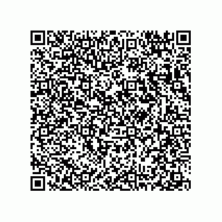 vCard 78313310337