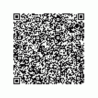 vCard 78313310339