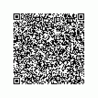 vCard 78313310341
