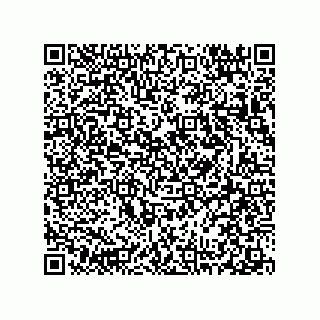 vCard 78313310342