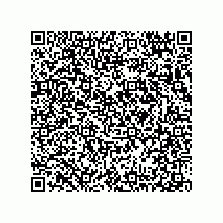 vCard 78313310354