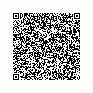 vCard 78313310370
