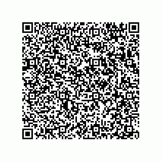 vCard 78313310376