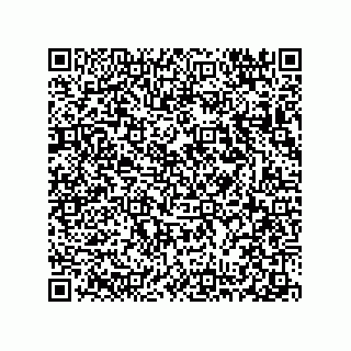 vCard 78313310377