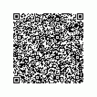 vCard 78313310379