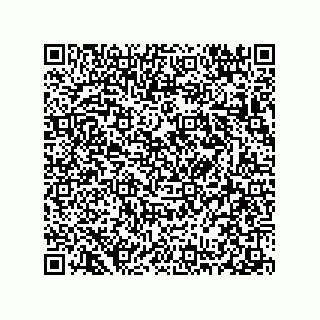 vCard 78313310380