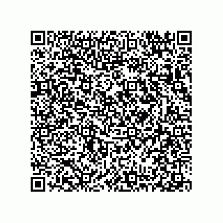 vCard 78313310382