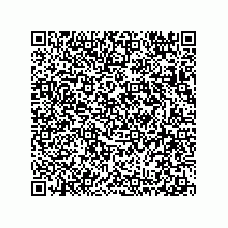 vCard 78313310384