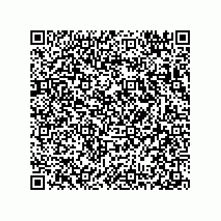 vCard 78313310386