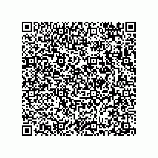 vCard 78313310387