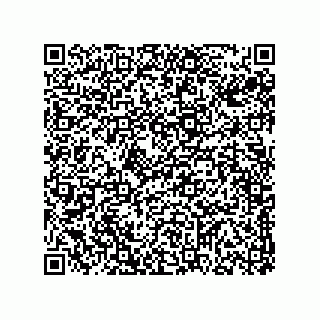 vCard 78313310388