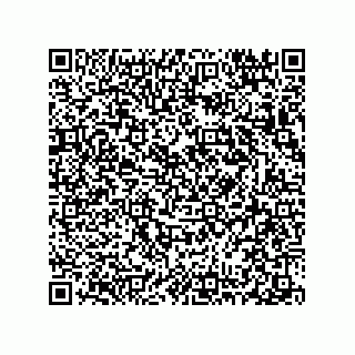 vCard 78313310389