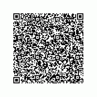 vCard 78313310390