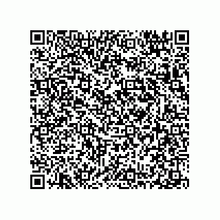vCard 78313310399