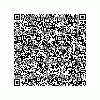 vCard 78313310401