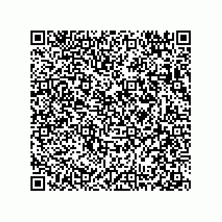 vCard 78313310402