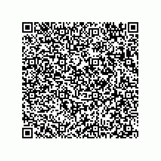 vCard 78313310403