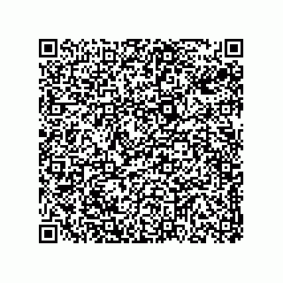 vCard 78313310407