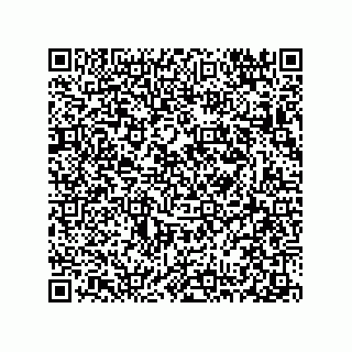 vCard 78313310408